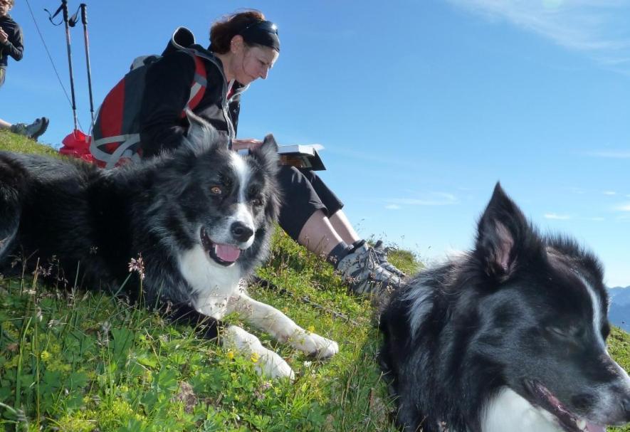 Edelweiss 2* Sankt Martin am Tennengebirge